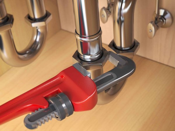 Comment aider un chien à s'adapter à un changement de routine ?